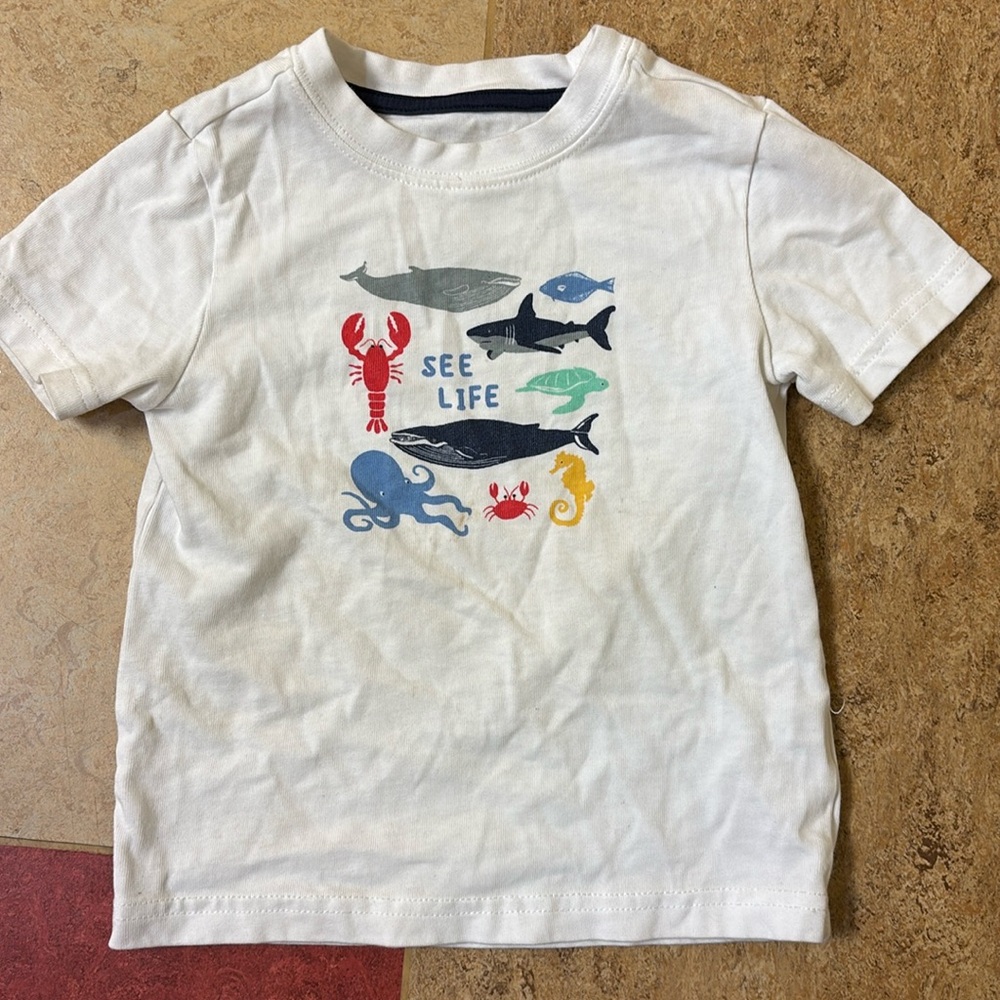 Kids Shirt